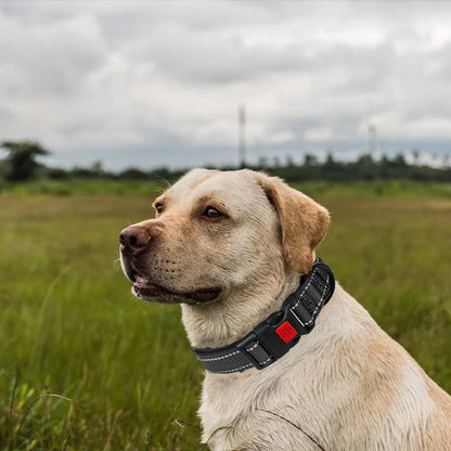 Reflective Dog Collar,Soft Neoprene Padded Breathable Nylon Pet Collar Adjustable for Medium Large Dogs, Neck